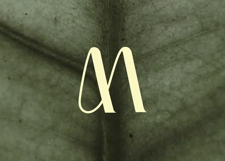 Casa Mouva logo